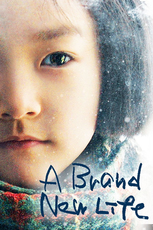 A Brand New Life poster