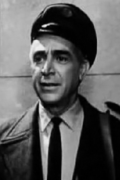 Takis Hristoforidis as 