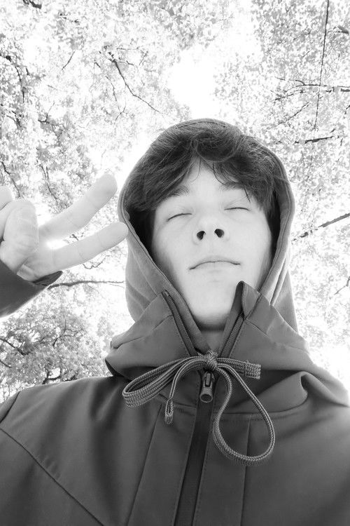 Emils Mikelsons as Kurjers