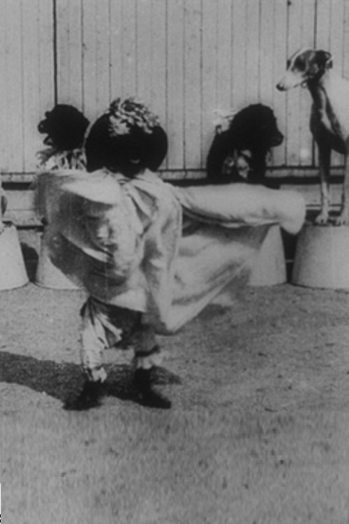 Chiens savants: la danse serpentine poster