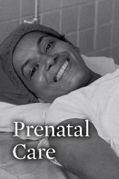 Prenatal Care poster