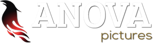 Anova Pictures logo