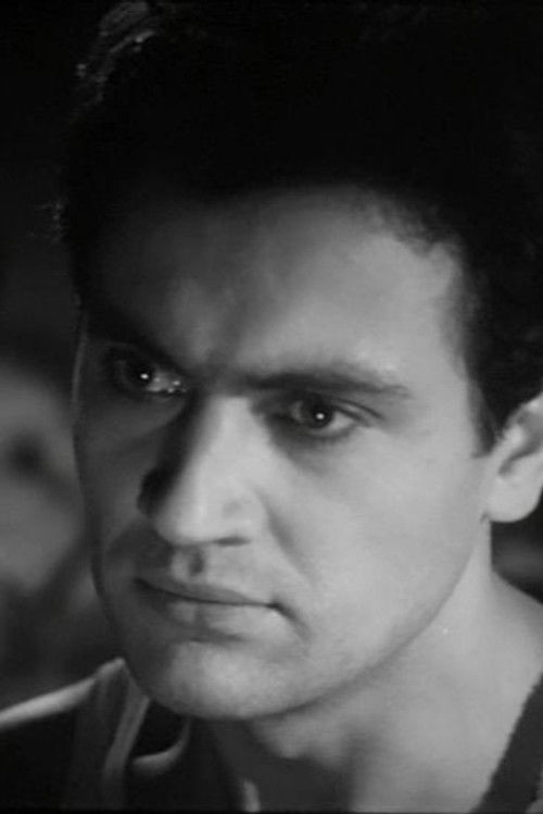 Valerian Vinogradov as Черных