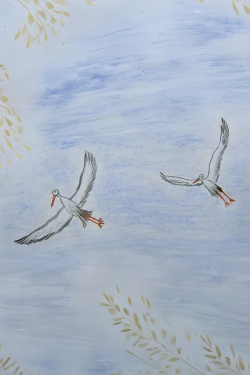 Latvia from a bird's eye view