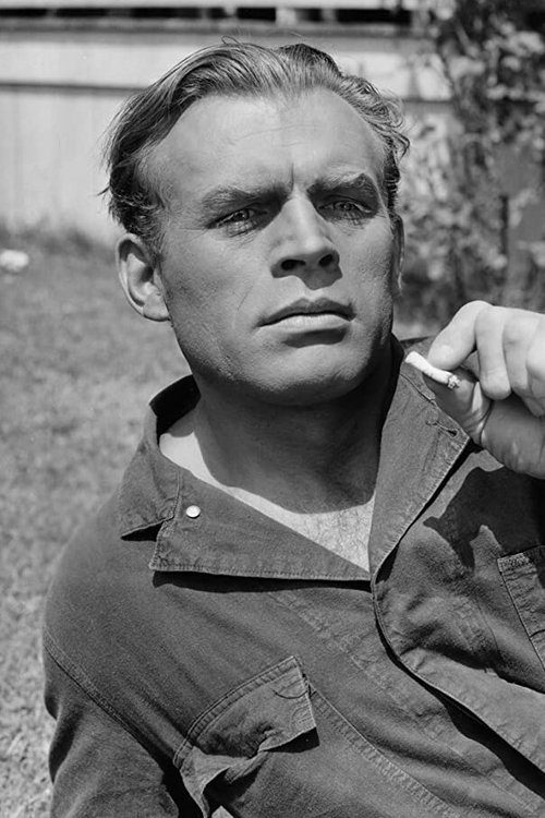 Otto Reichow as Stein