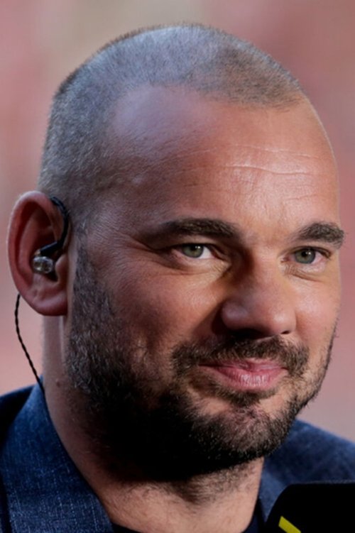 Wesley Sneijder as Self