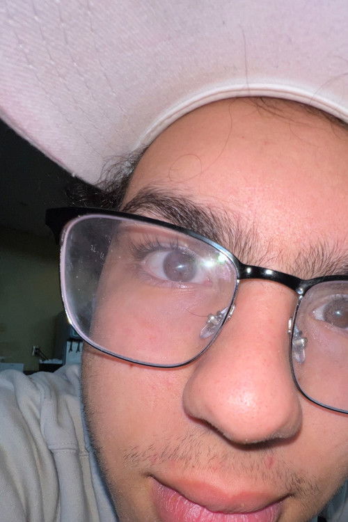 Dimitrios Manias as Dimitrios