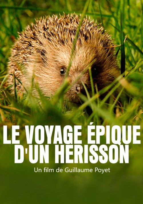 Le voyage épique d'un hérisson poster