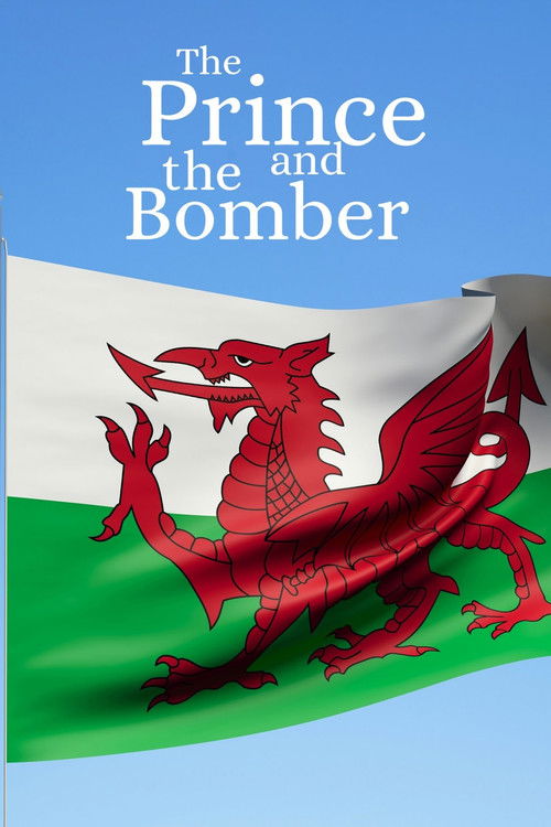 The Prince and the Bomber poster