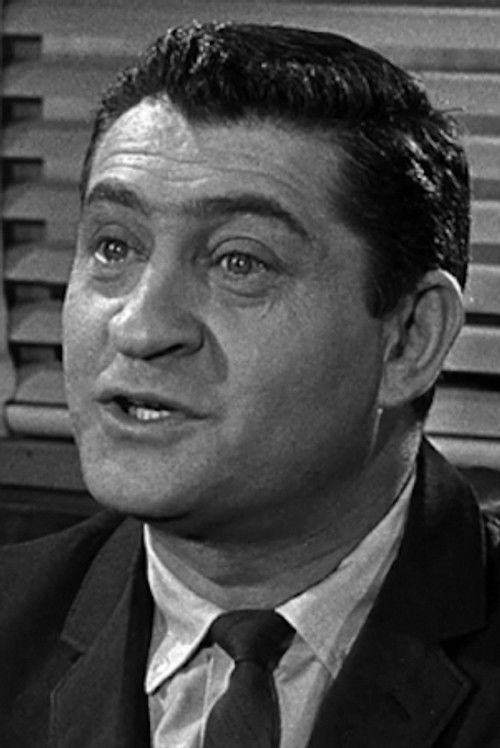 Herbert Ellis as 2nd American Airlines Clerk