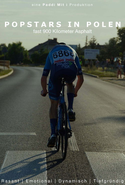 Popstars in Polen poster