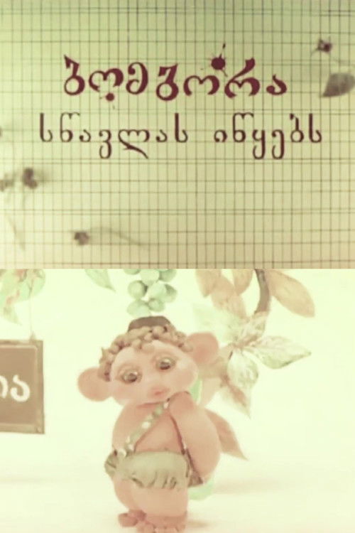 Bombora Begins to Study