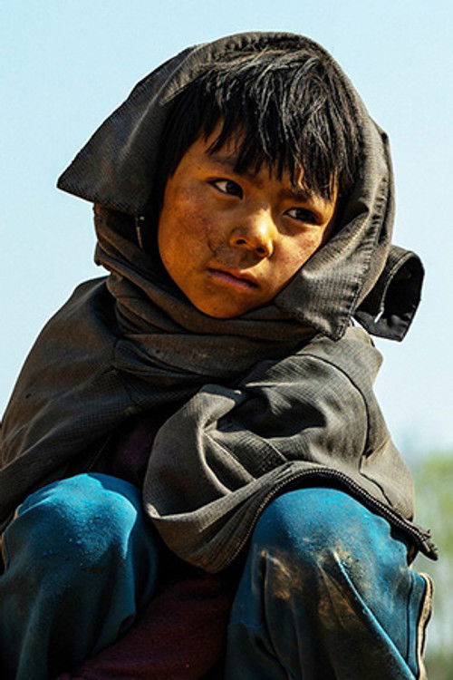 Qiulang Jia Yang as Young Su Xiaobu