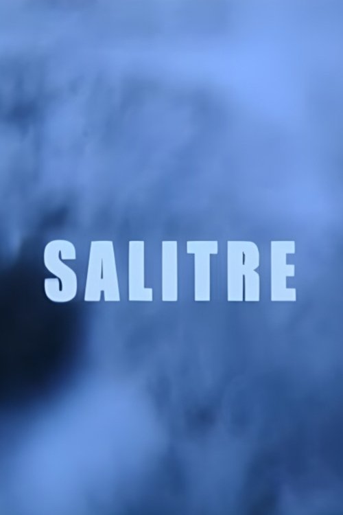 Salitre poster
