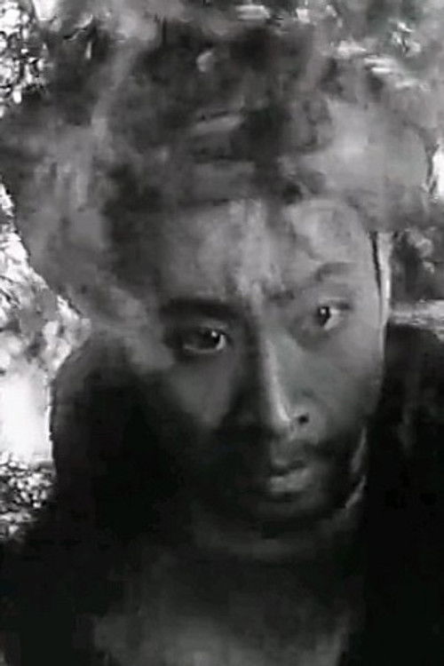 Li Hongchang as 匪甲
