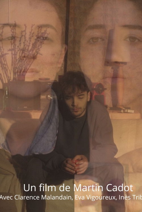 Les vestiges de l'absence poster