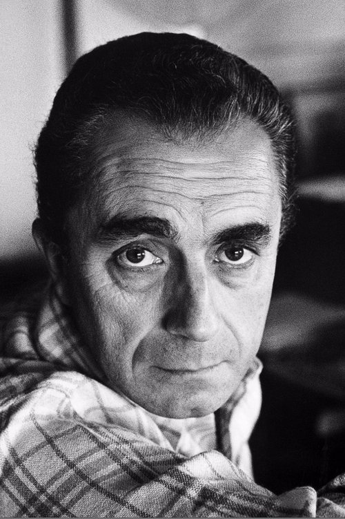 Michelangelo Antonioni as Self