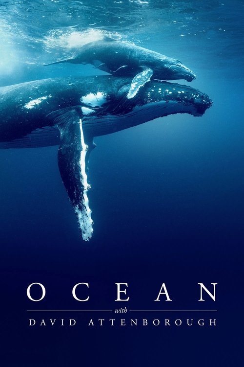 Ocean with David Attenborough poster