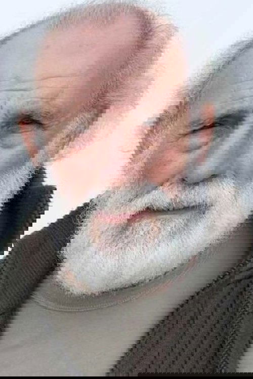 Carlos Álvarez-Nóvoa as Diplomático