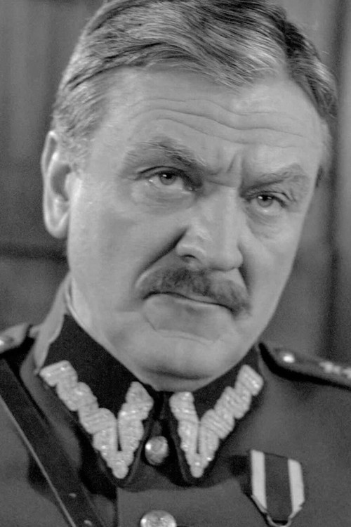 Eugeniusz Kamiński as Flamand