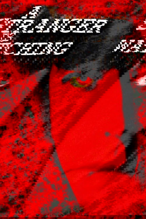 A Stranger Is Watching