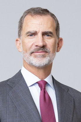 Felipe VI as Self (archive footage)