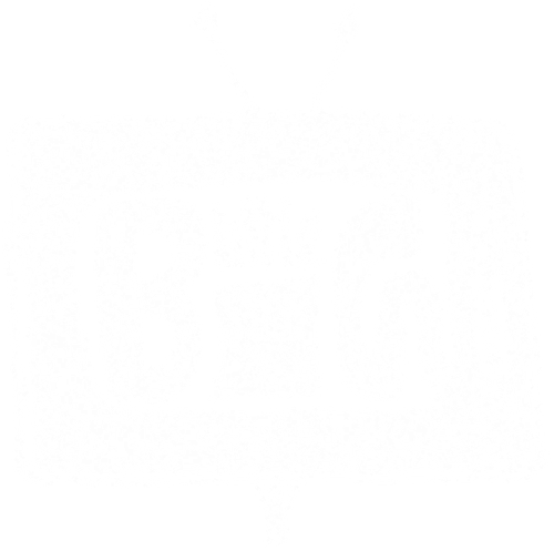Little Big Films logo
