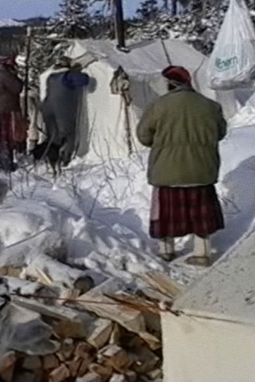 Innu aitun (connaissances traditionnelles innues) poster