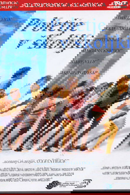 A Summer in a Sea Shell