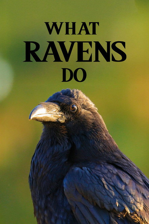 What Ravens Do poster