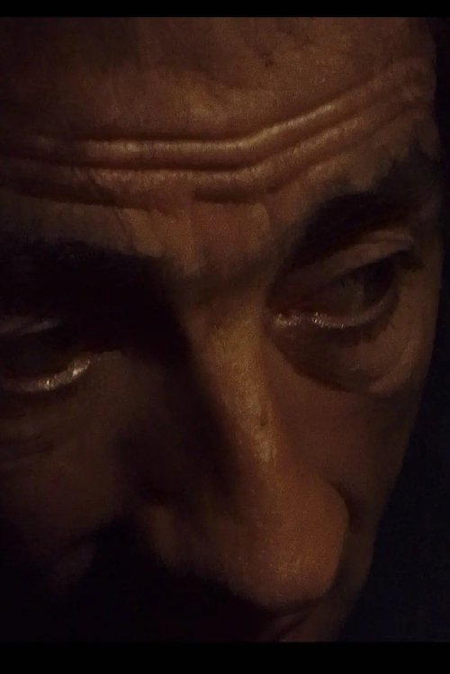 The Animals Are Sick With Love poster