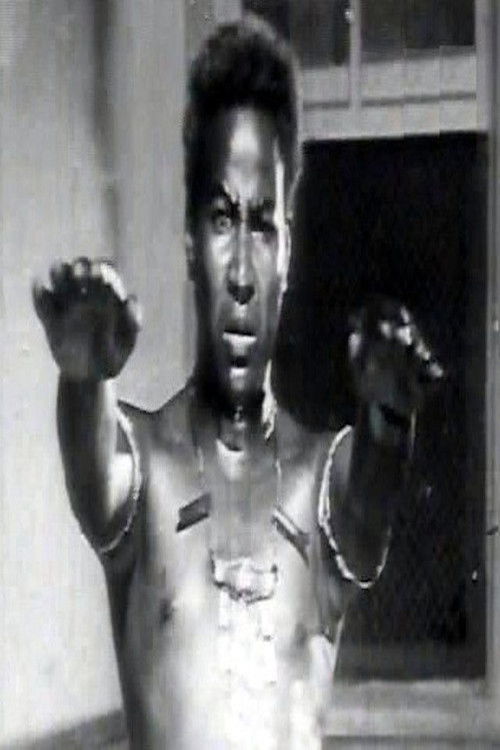 Abdel Aziz Saeed as سفرجى عدنان بيه