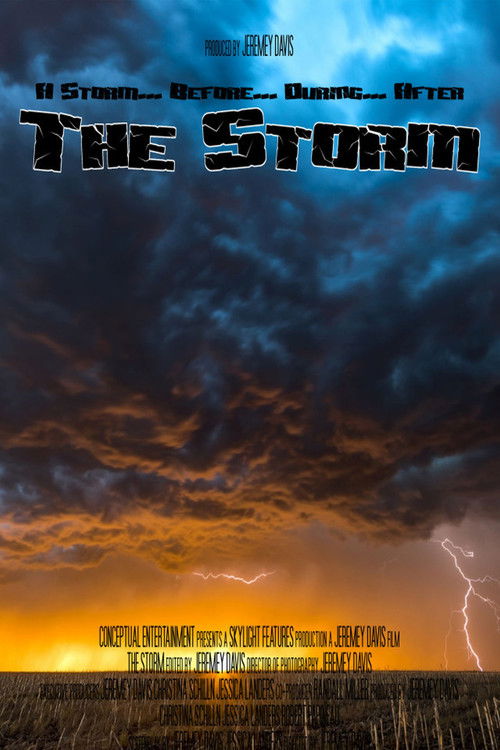 The Storm poster