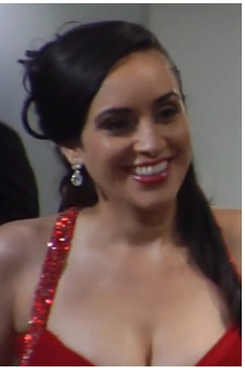 Valerie Perez as Agent Vicky