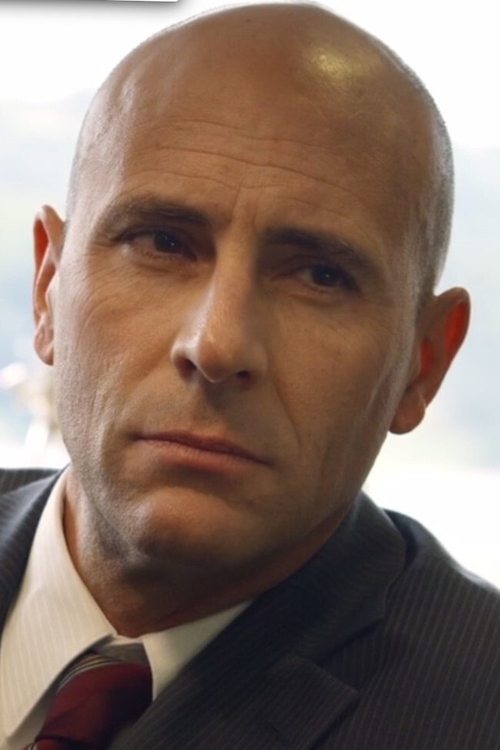 Jordan Lage as FBI Team Leader