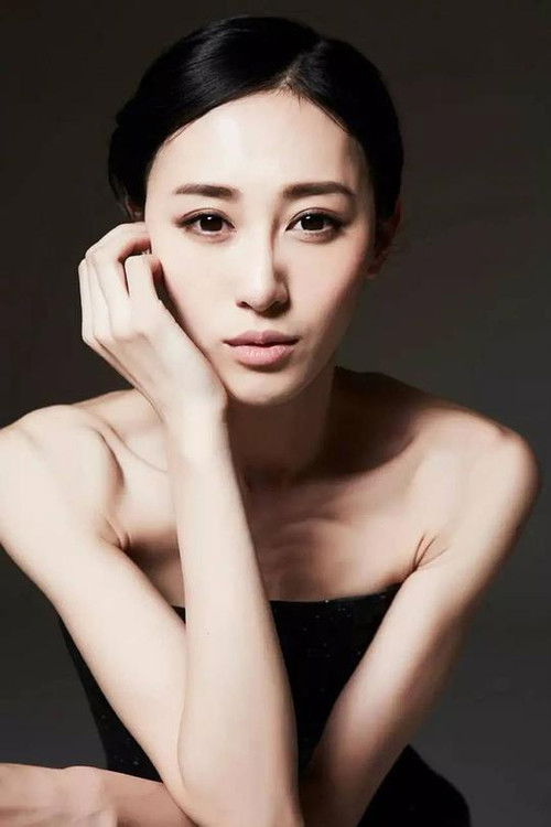 Jiejing Zhu as 自己