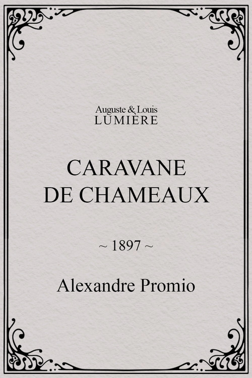 Caravane de chameaux poster