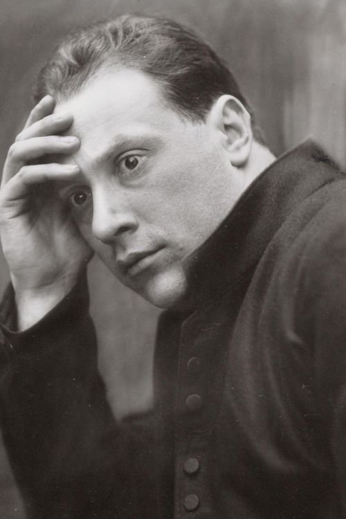 Willem van der Veer as 