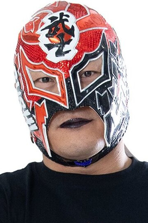 Tetsuya Shimizu as BUSHI