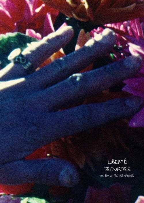 Liberté provisoire poster