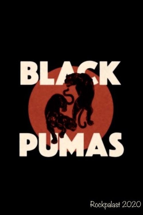 Black Pumas - Rockpalast poster