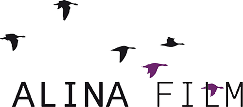 Alina Film logo
