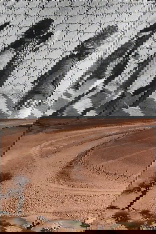 Los Pascoleros - Tarahumaras 85 poster