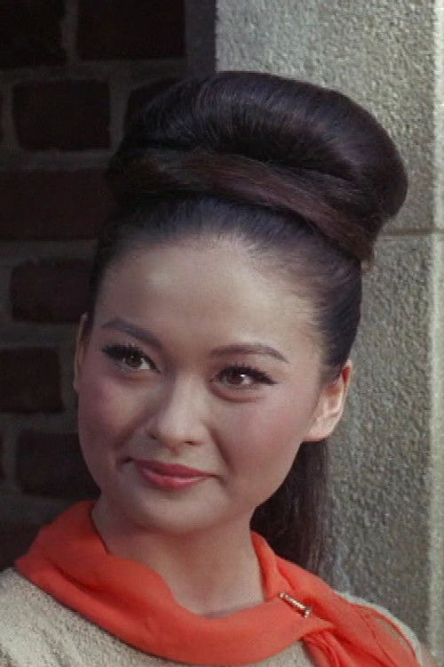 Helen Funai as Sakito