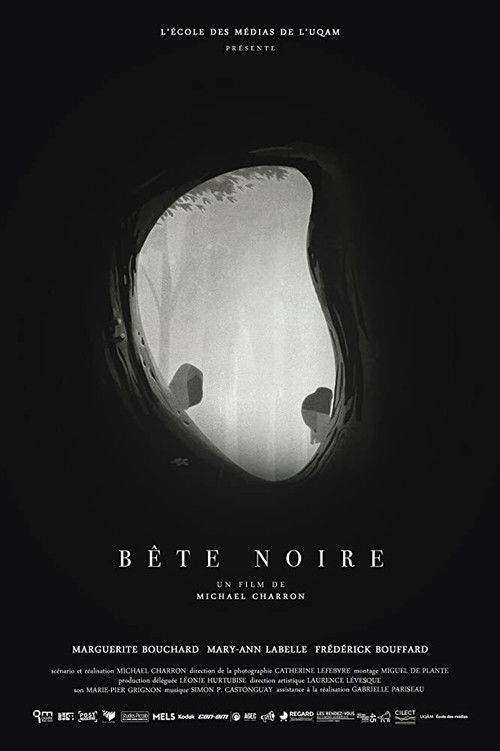 Bête noire poster