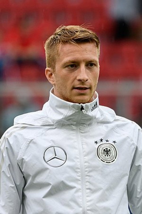 Marco Reus as Self