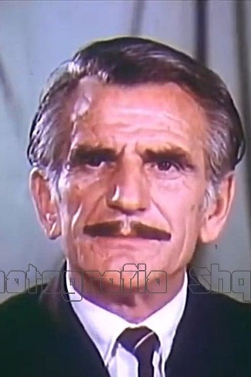 Enver Dauti as Saliu