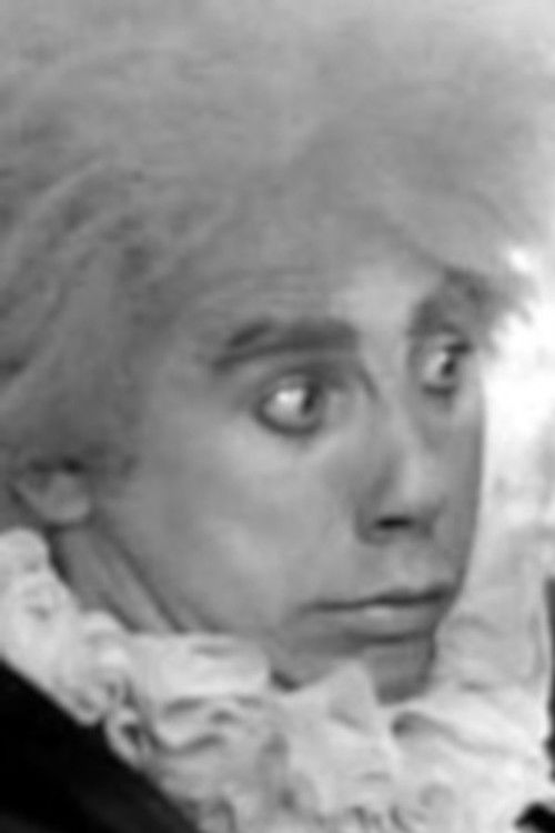 Andrey Nikolaev as Труфальдино