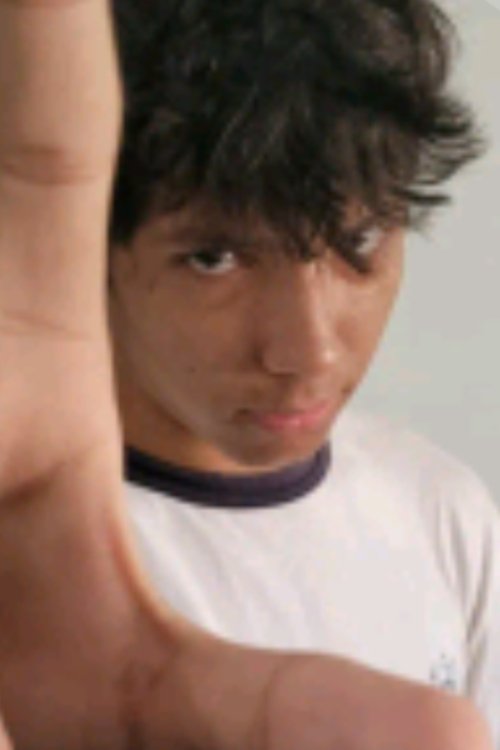 Robert Ferreira as Self