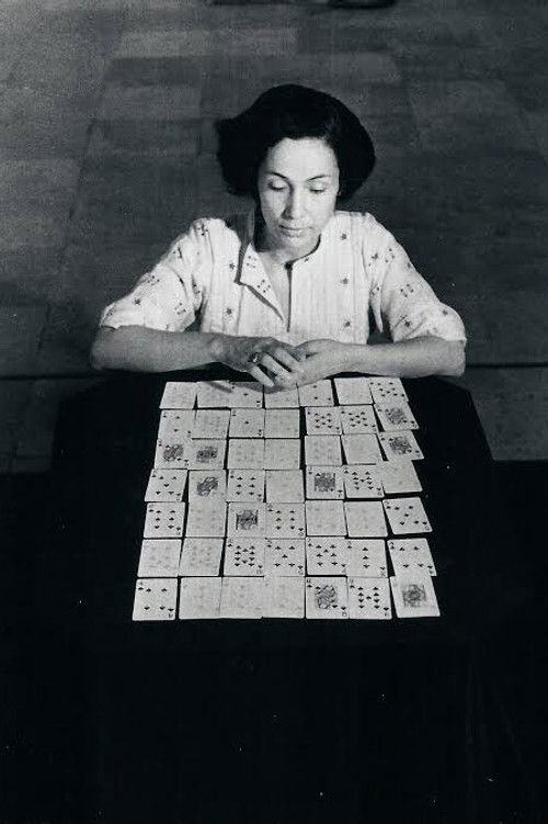 Anna Maria Maiolino as Self